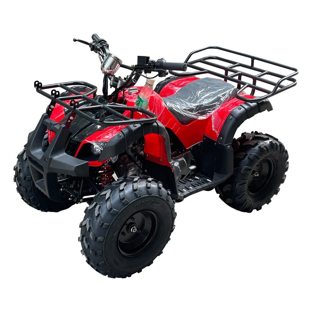 ATV/UTV 125cc пляжный мотор для автомобиля 4 колесный квадроцикл для взрослых