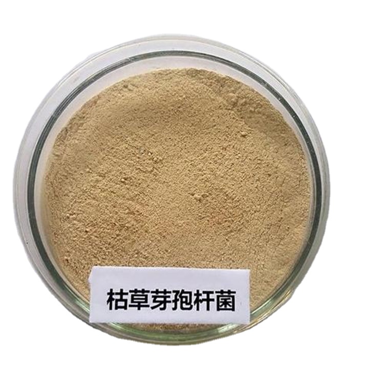 Поставка оптом бактерии Bacillus Subtilis OEM пробиотики кормовая добавка Порошок Bacillus Subtilis заменяет антибиотики для корма