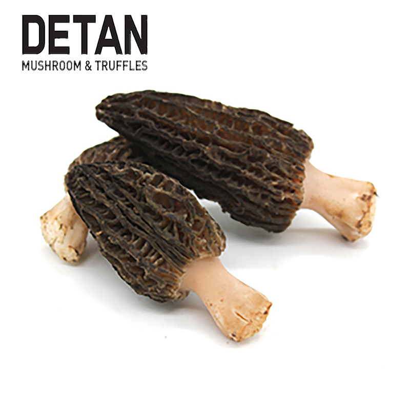 DETAN fresh morel/Morchella vulgaris цена на экспорт