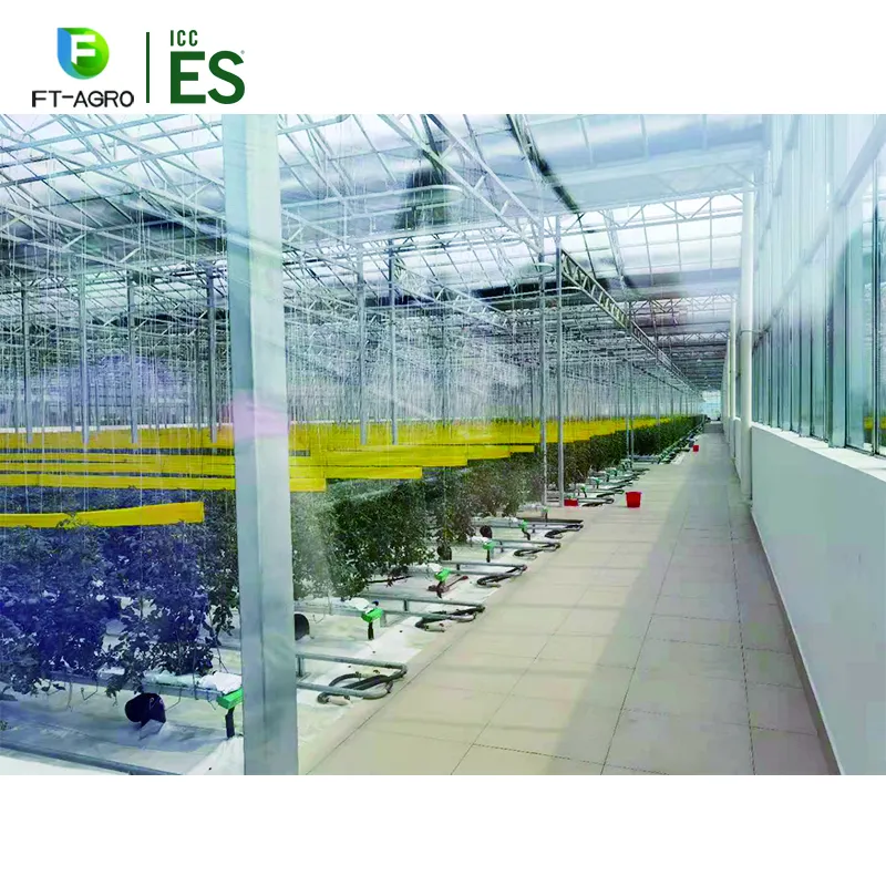 China made high quality glass greenhouse agricultural greenhouse for rose planting