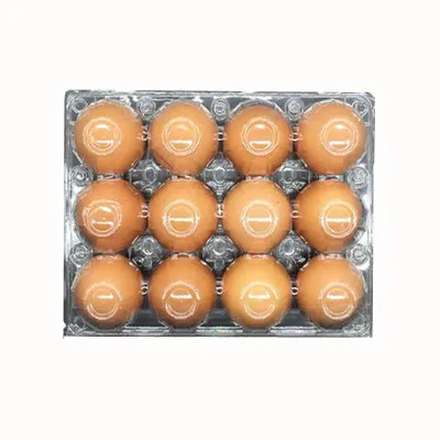 Пластиковый лоток для яиц из ПЭТ, 12 Ячеек