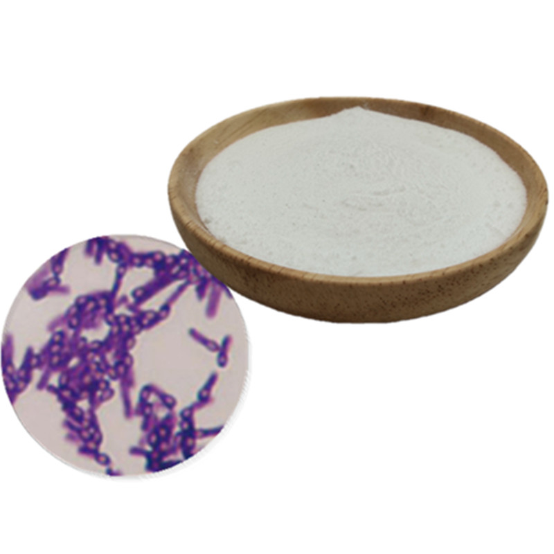 Заводская поставка, пробиотик пищевого класса bacillus coagulans