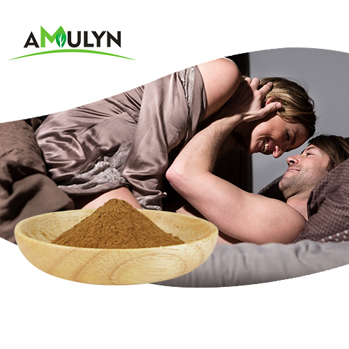 AMULYN натуральный экстракт корня Маки в порошке