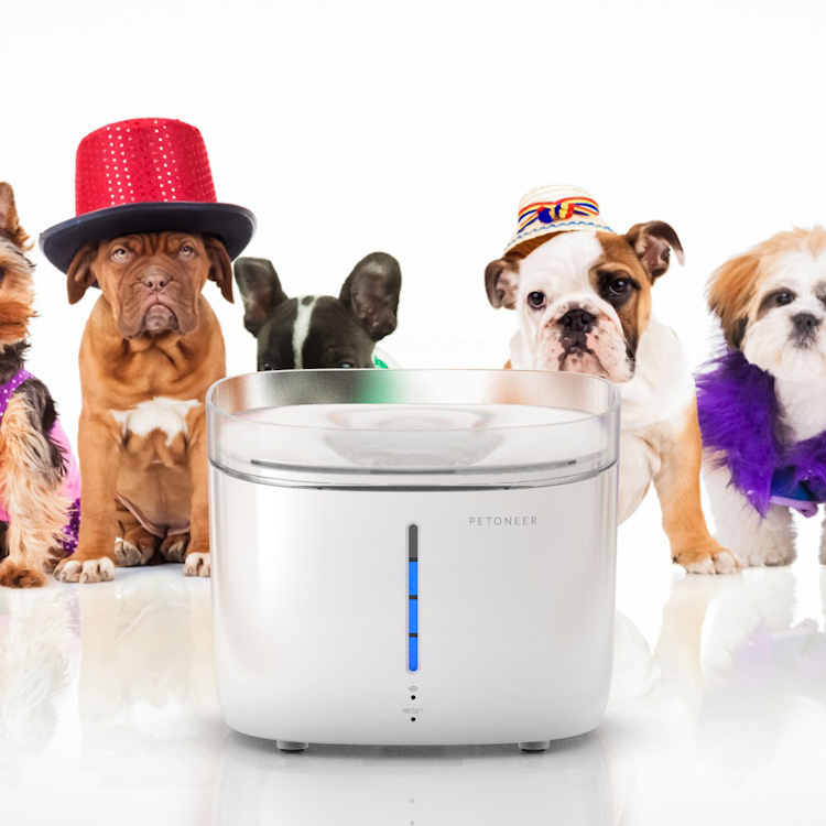 New Design Smart Dograinbeam pet Water Bottle For Pet Drinking Fountain With Infrared Sensor Automatic Animal Feeder