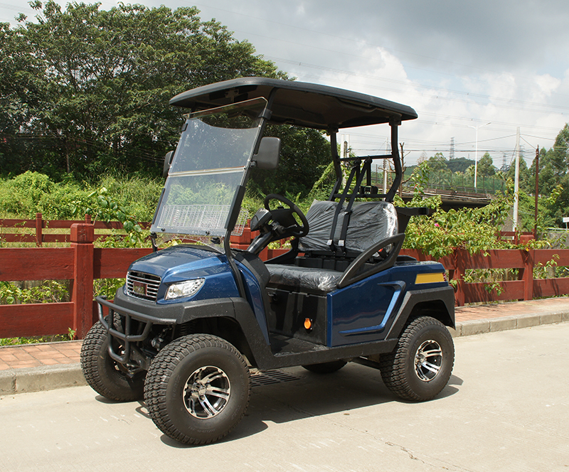 Поставка от профессионального производителя ORV Golf Caddy Car/Одноместный багги для гольфа/Четырехместный багги