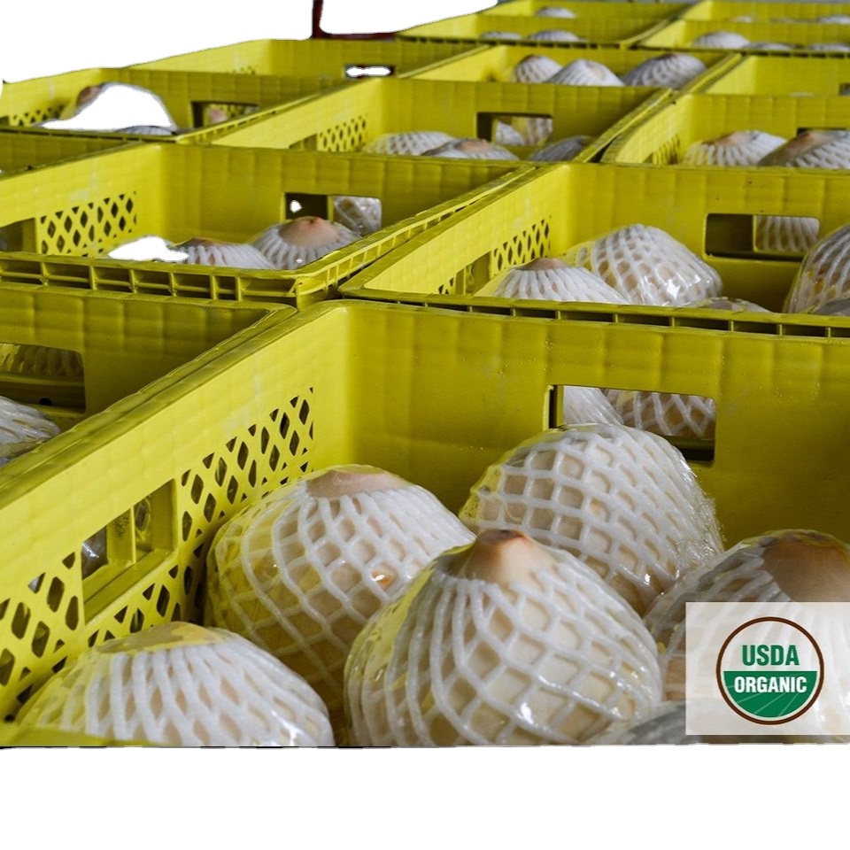 Молодой кокосовый тропический фрукт, горячая цена, отличный сорт продукции, качественный чистый напиток из Таиланда