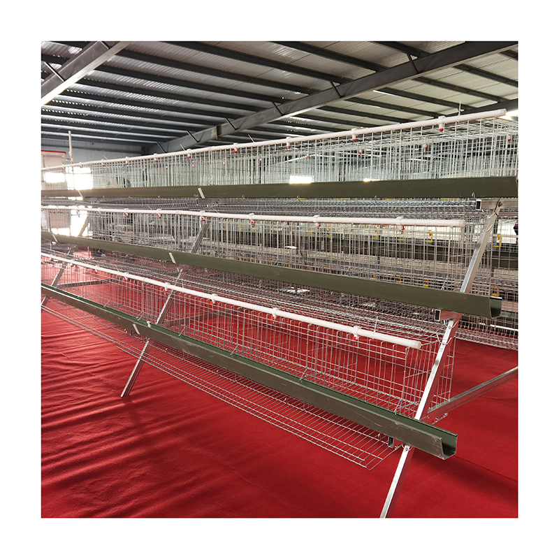 Low price chicken cage batttery hen automatic chicken laying for layer farm