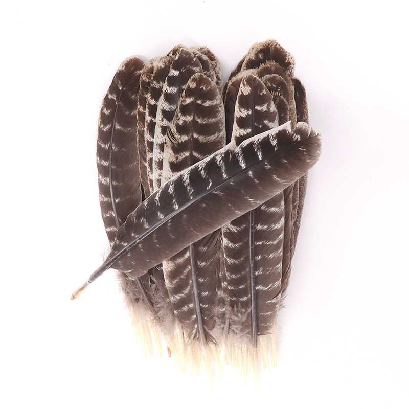 Wholesale High Quality Turkey wing Feather 15-30cm Natural Turkey Feather