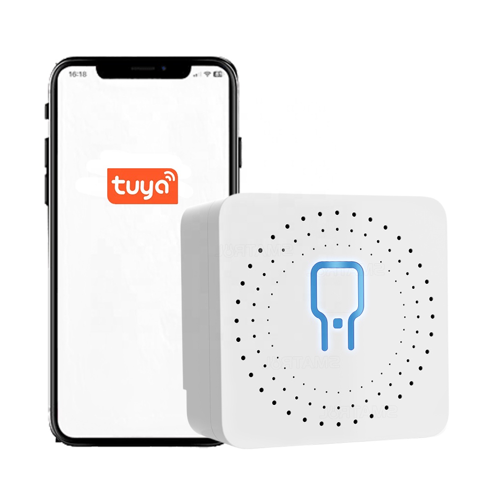 Контроллер мини-модуль tuya 16A Wi-Fi умный свет DIY switch 2 Way Google smart Home Control электрические переключатели