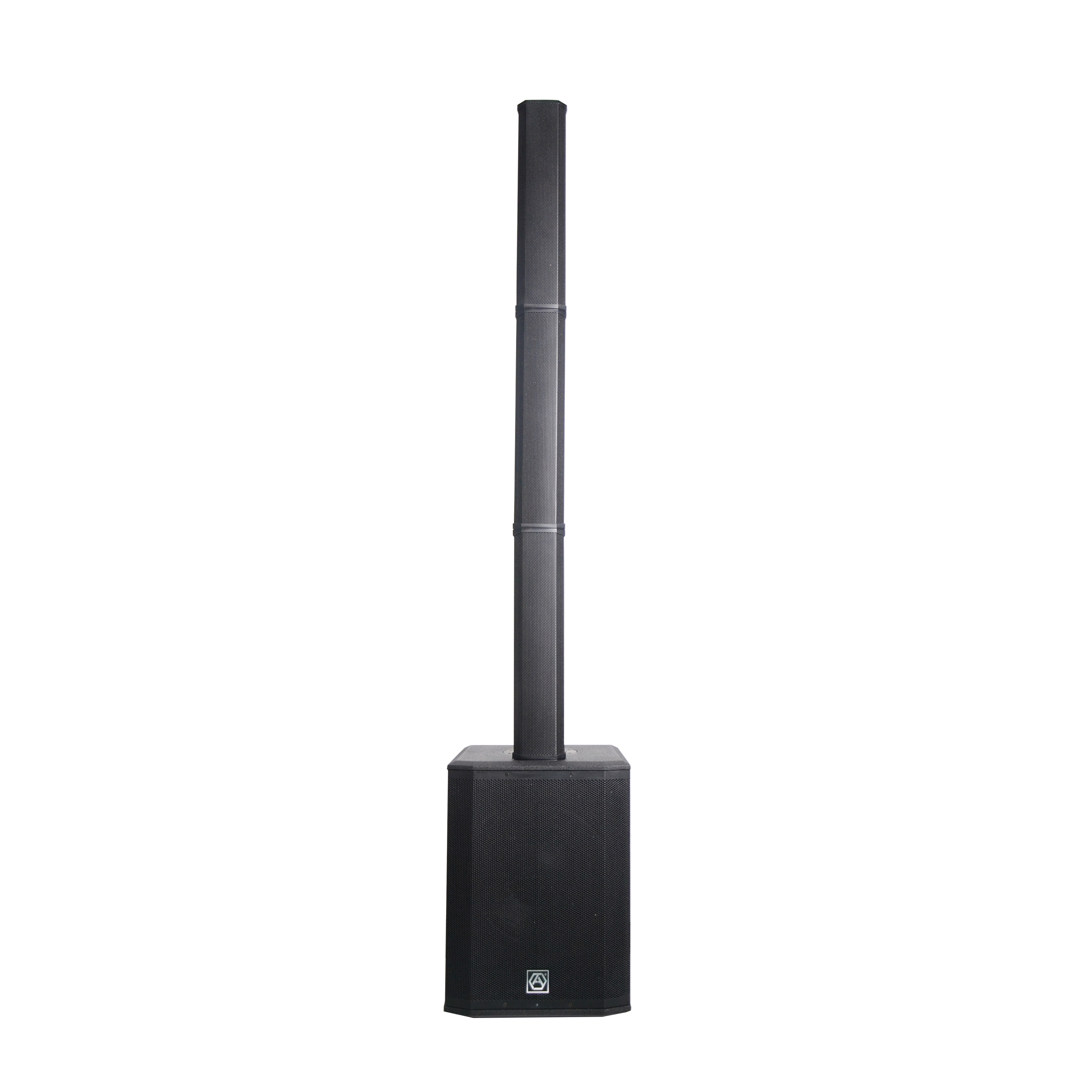 Precision Pro Audio AC20 уникальный новый модульный дизайн высокая мощность RMS 500 Вт Pro PA система активная Колонка Напольные колонки