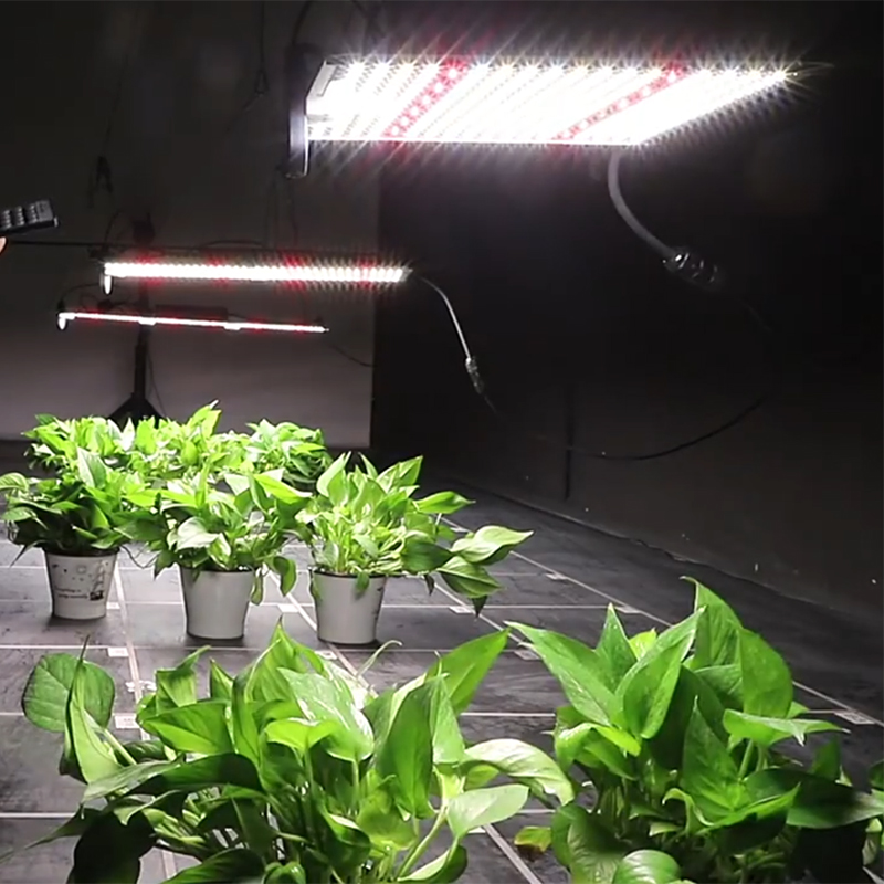 Аврора Led Grow Light завод полный спектр 3030 СИД световая панель для взращивания 100W 200W 300w для Крытый парниковый