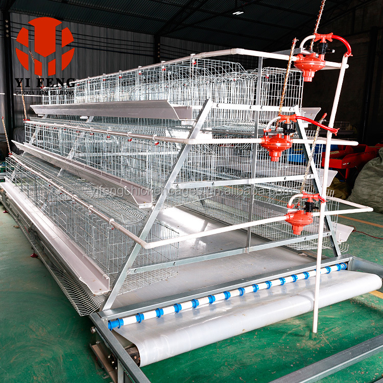 Chicken farm layer cages for sale in zimbabwe Chicken cage poultry farming equipment suppliers Chicken cages for laying eggs