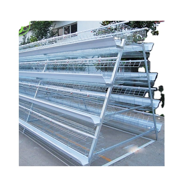poultry pigeon quail breeding layer battery cage with auto water system