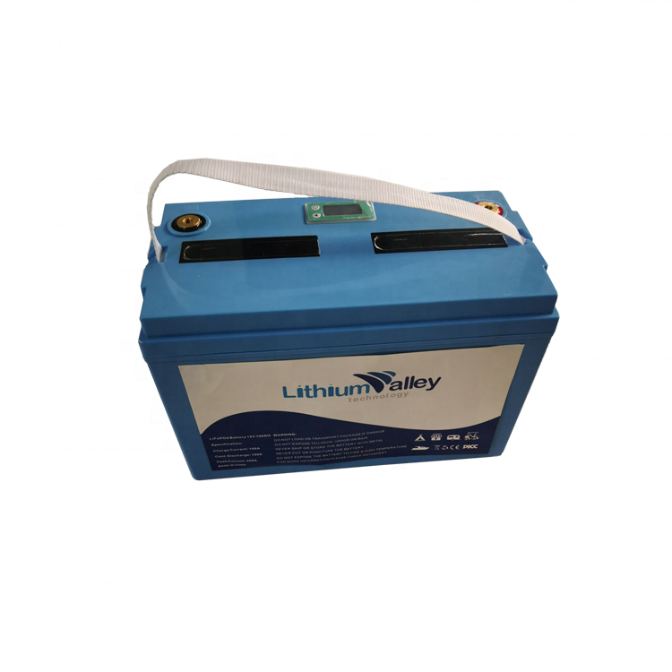 Новый перезаряжаемый BMS встроенный длительный срок службы RV lifepo4 12 В 100ah глубокий цикл литий-ионных батарей lifepo4 аккумулятор