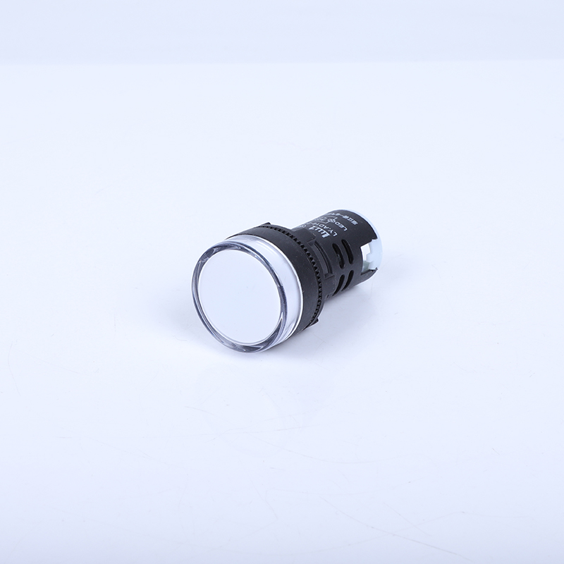Led Indicator Light Signal Lamp AD16 22DS 22mm Red Green White Blue Yellow 12v 24v 220v Waterproof Orange Body Plastic Color ZHE