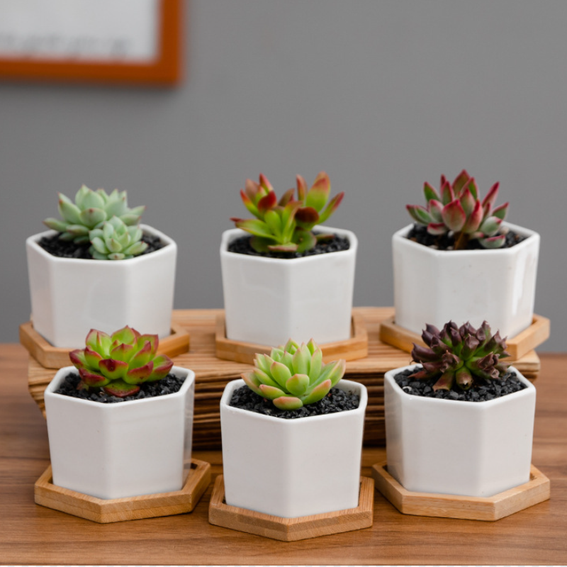 Wholesale white ceramic flower pots Nordic modern garden pot indoor decoration ceramic flowerpot