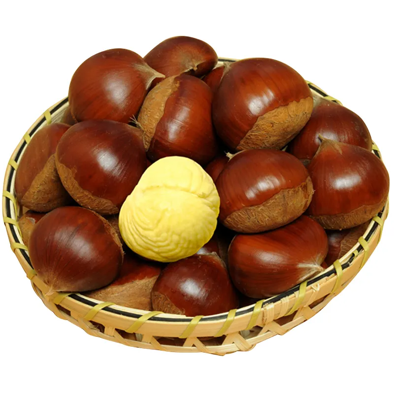 dandong chestnut from factory fresh chinese big chestnuts