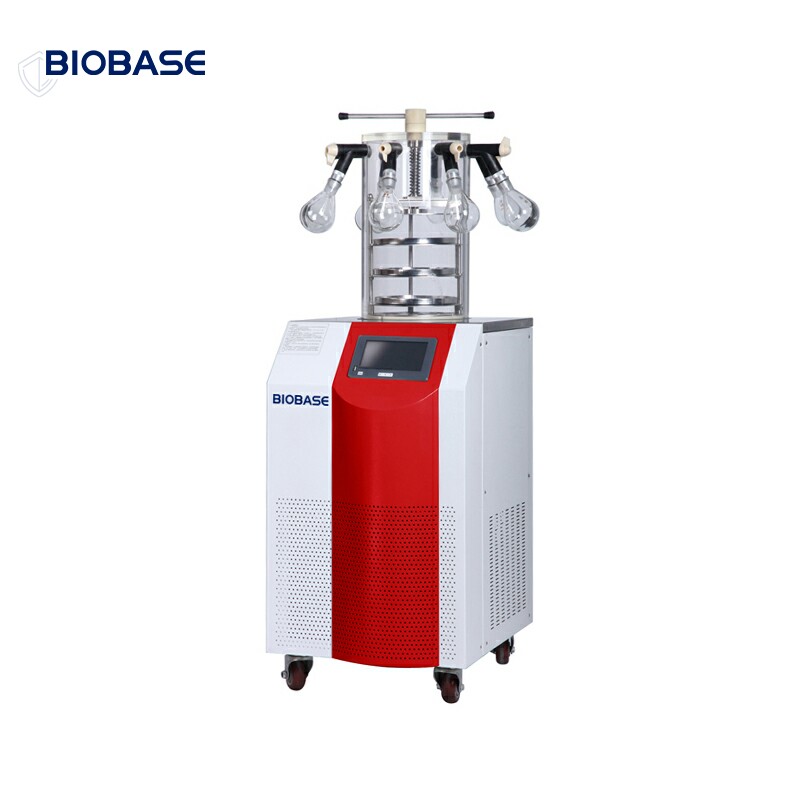 BIOBASE China freezer dryer drying machine BK-FD12S