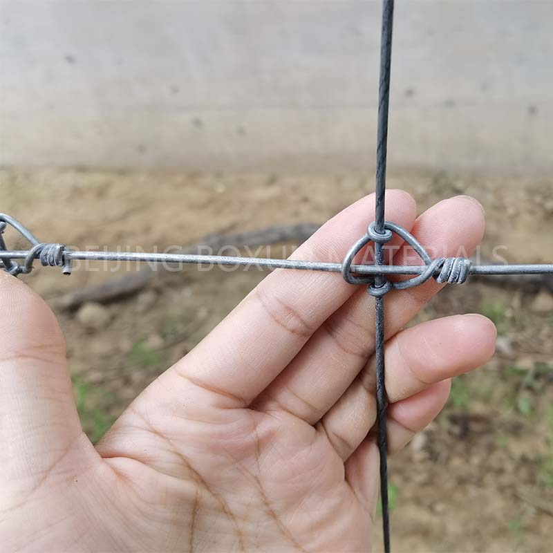 Galvanized Fixed Knot Farm Fence/Deer Fence/Field Fence for Cattle Yard