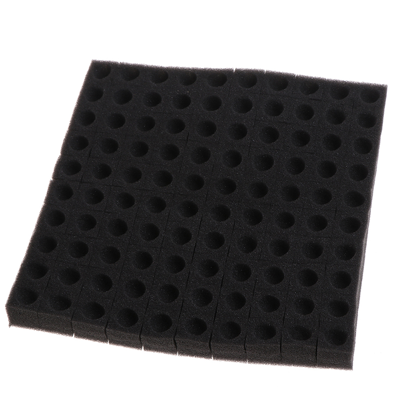 Custom Wholesale Seed Vegetable Hydroponic Seeding Planting Gowing Sponge Gourd Seeds for Plant
