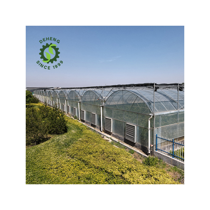 Hot Selling Cheap Custom Arch Other Green House Greenhouse Plastic Film Multi Span Agriculture Greenhouse For Vegetable