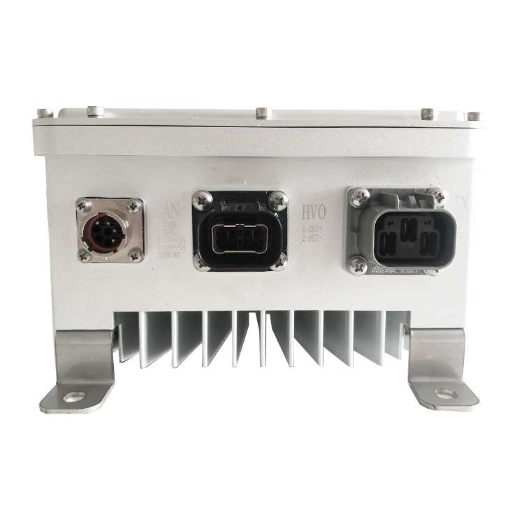 Dilong на борту 99v 132v 198v 440v 650v 40a 32a 23a 10a 6a 6.6kw зарядное устройство для электромобиля