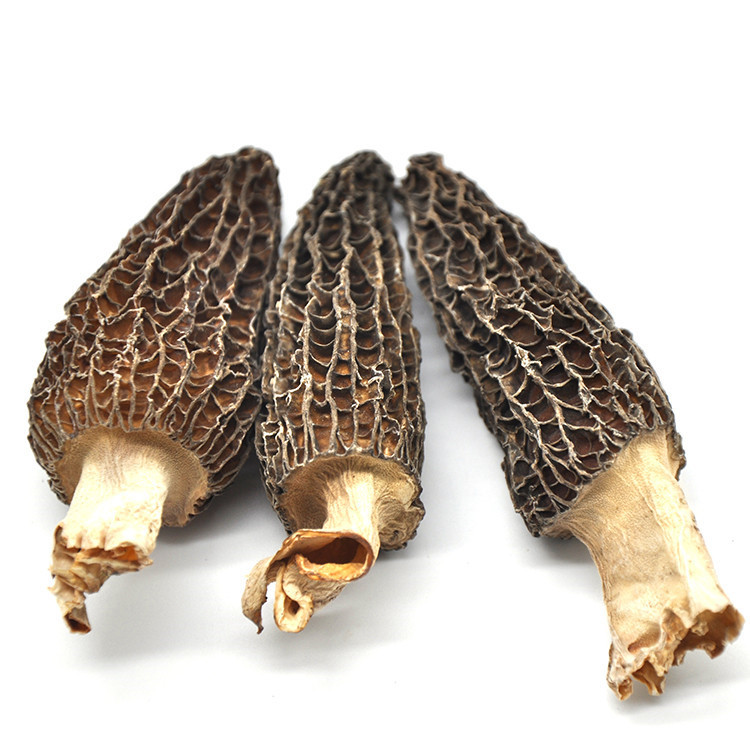 2021 New Season Supplying Great Texture Dry Morel Morchella Mushroom