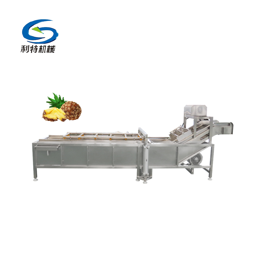 Bubble surf type vegetable cleaning equipment pineapple fruit washer