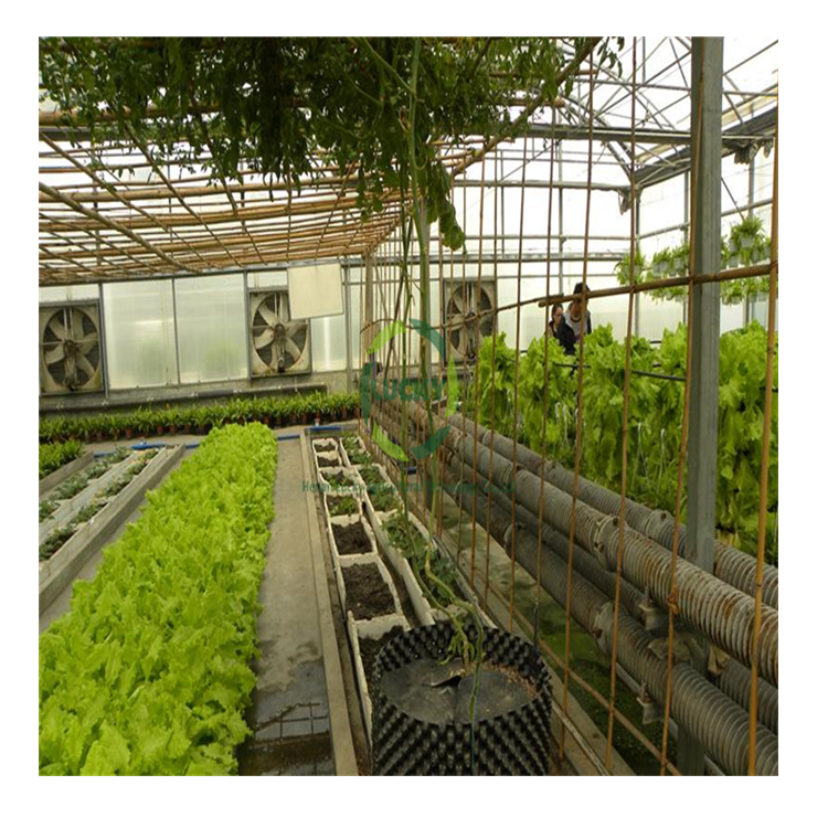 Commercial Aquaponics System Portable Mini Free Standing Floor Tray Greenhouse For Growing Fish And Plants With Soap Culture