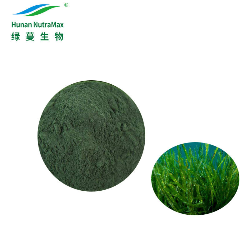 China Organic Natural Nutrition Spirulina Blue Green Powder/Tablets