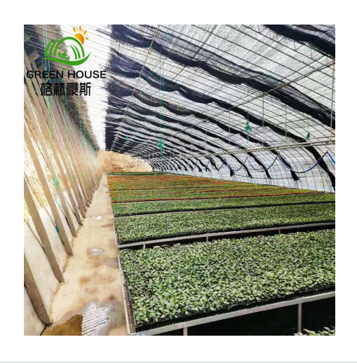 Winter Blanket Greenhouse Agricultural Vertical Farming Planting Economy Sunlight Greenhouse Winter Warm Greenhouse