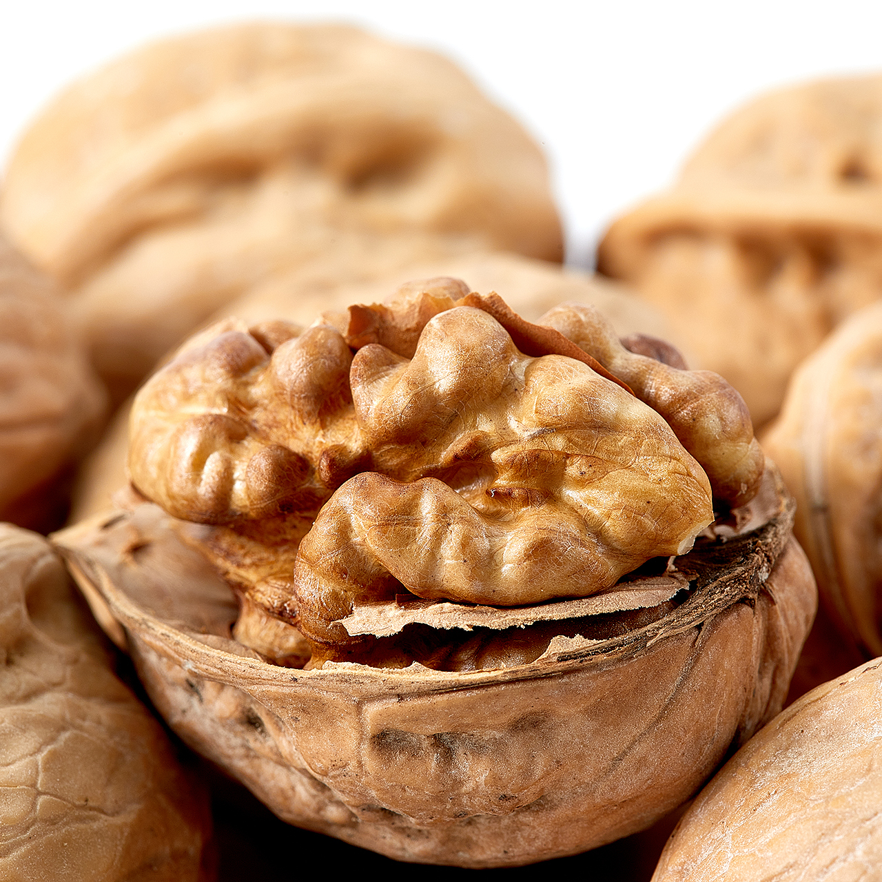 Fresh Organic Wholesale Light Halves Shell Walnuts Kernel Without Skin
