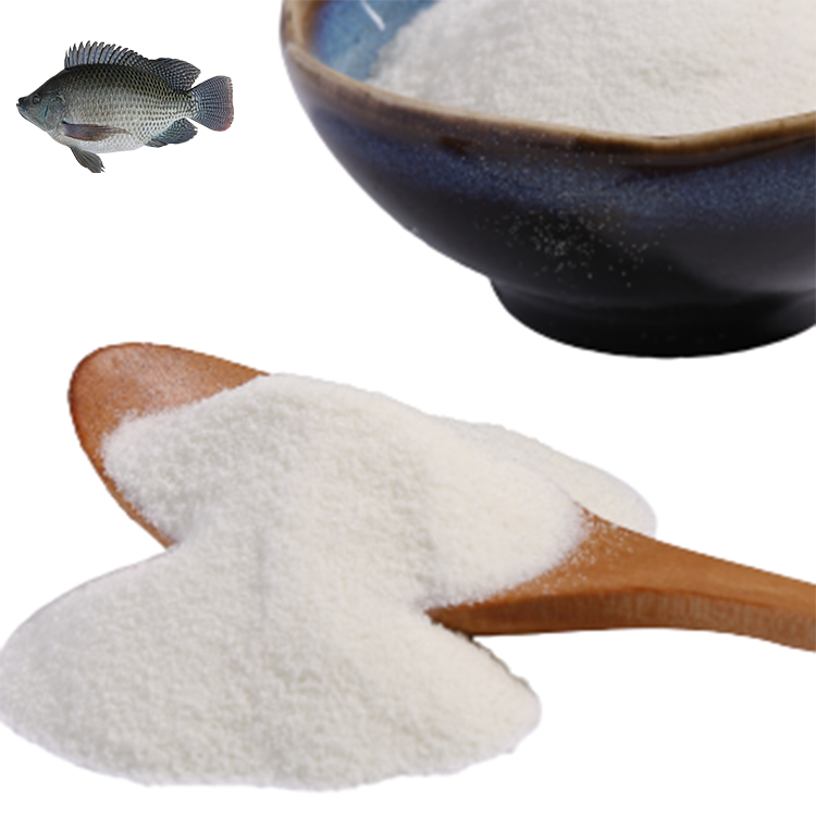 Popular Cheap Fish Collagen Peptides Protein