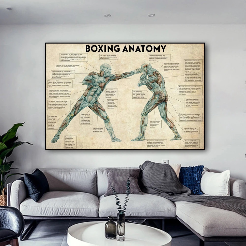 Wholesale Retro Boxing Enthusiasts Gym Background Decoration Paintings Body Dissection Posters Canvas Paintings