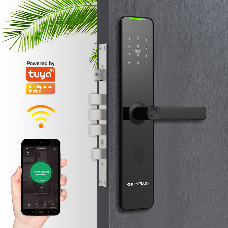 Дверной смарт-замок Tuya с Wi-Fi, полностью автоматический, с Биометрическим распознаванием отпечатков пальцев, серебристый, в облаке