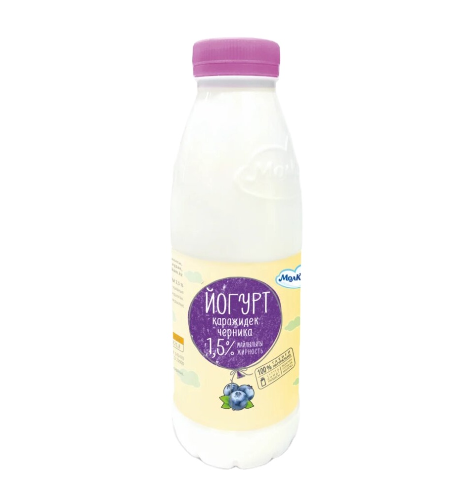 Natural 450g Blueberries Yogurt from Kazakhstan