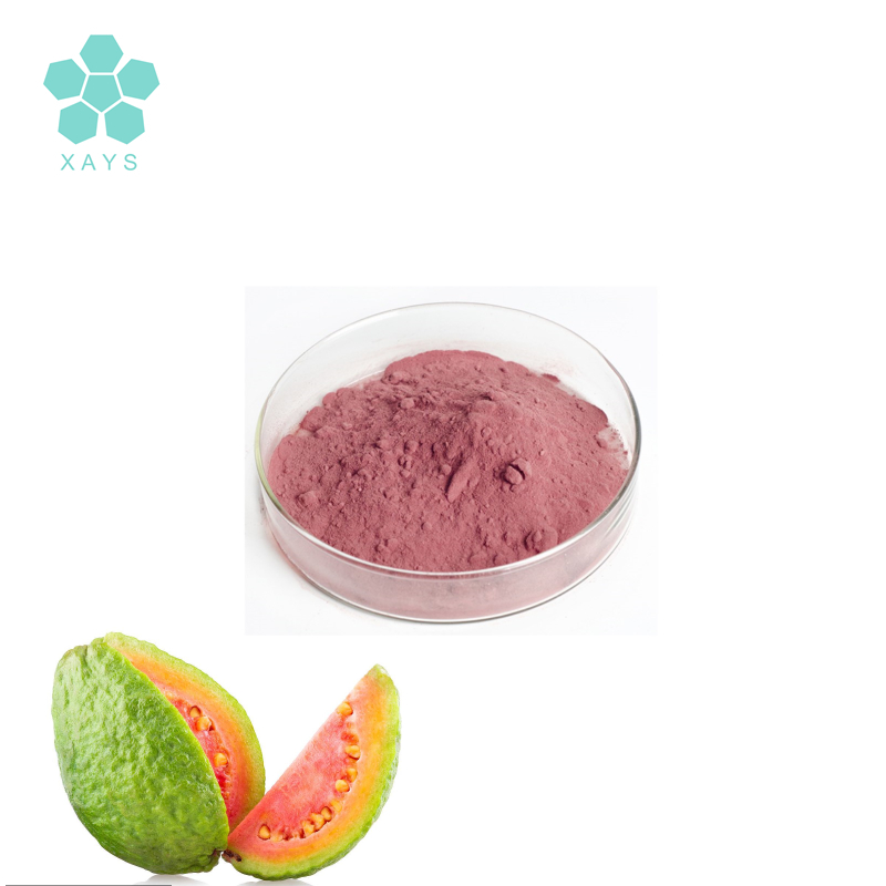 Youshuo Organic Halal Certificate Natural Freeze Dried 99% Guava Fruit Juice Powder Pink Guava Fruit Powder