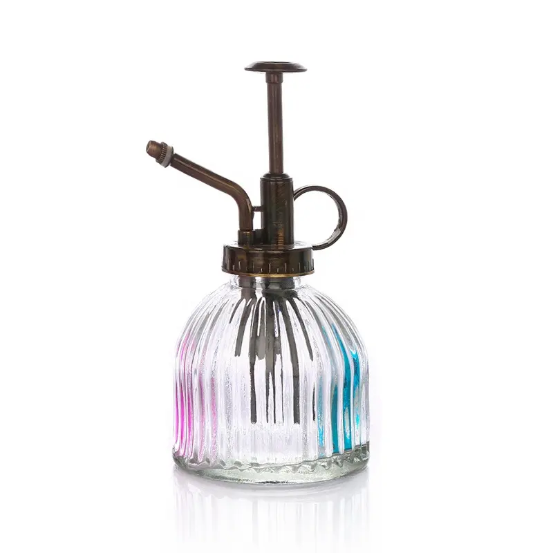 Clear Glass Water Spray Bottle Plant Mister Glass Succulent Watering Can with Plastic Top Pump