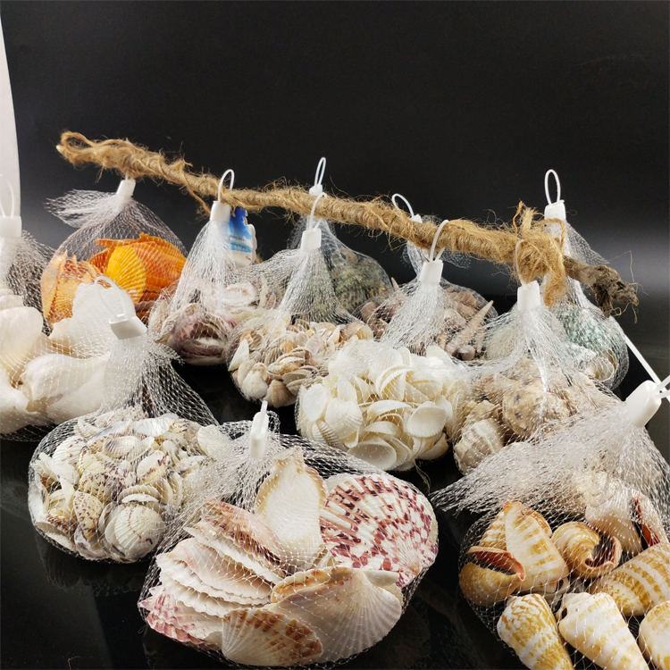 High Quality Mixed Seashells Conch Shell for DIY Home Decor seashell