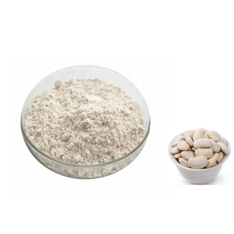 Custom Phaseolin Kidney Bean Protein White Kidney Bean Extract