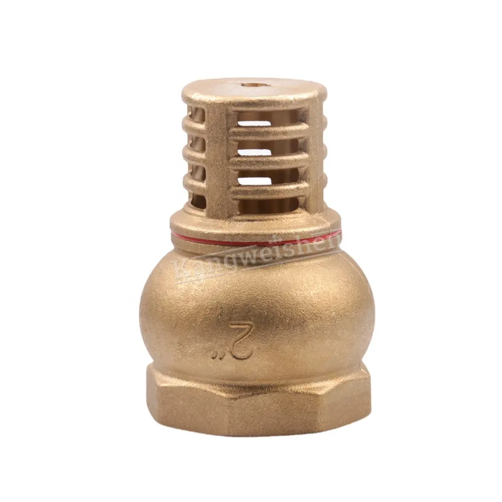 Hot Sale Foot Brass Spring Check Valve with SS Filter Brass Foot Valve