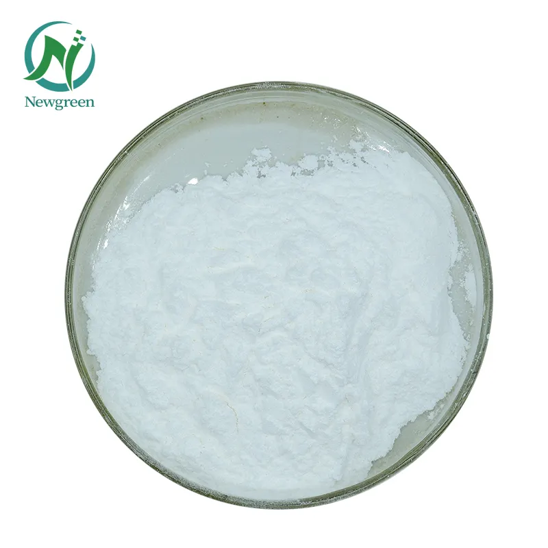 High Quality Organic Lactobacillus Paracasei Powder For Quick Delivery At Wholesale Price