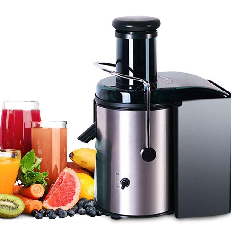 Portable juicer with stainless steel design home use