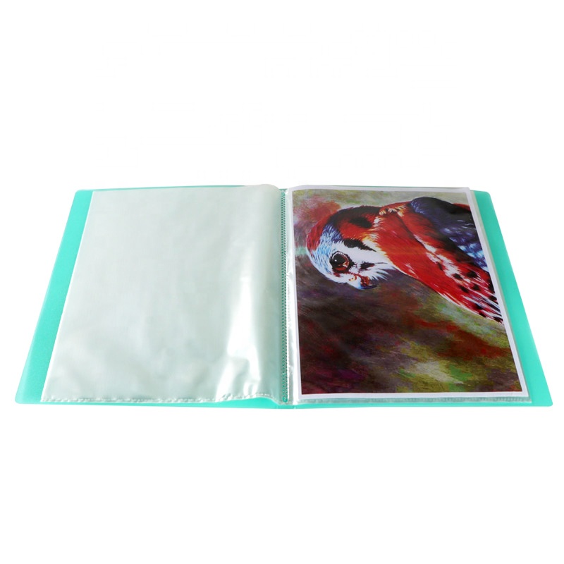 Dongguan Factory File Folder Customized Office Supplies A4 Used For Document Storage