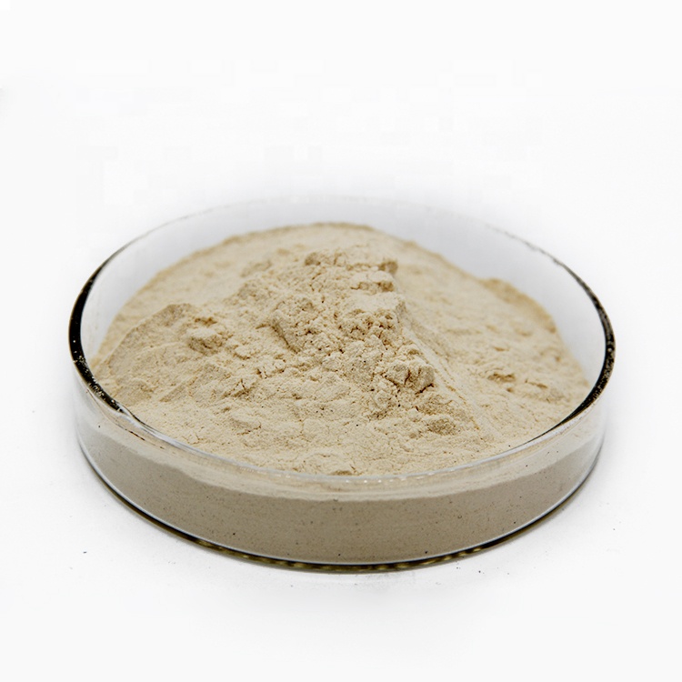 China supply 80% Oat Beta Glucan powder CAS 160872-27-5