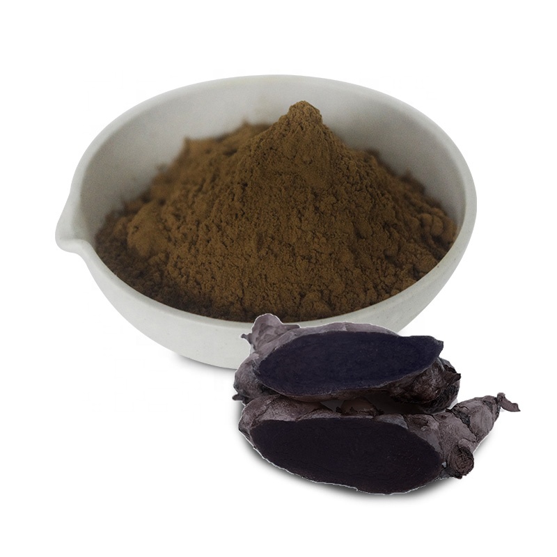 Pure Natural Black Ginger Extract Powder Ginger Powder 5%