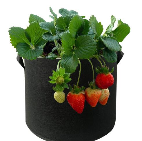 Garden Grow Bags 3 Gallon Pots Container Garden Potato Felt Grow Bag