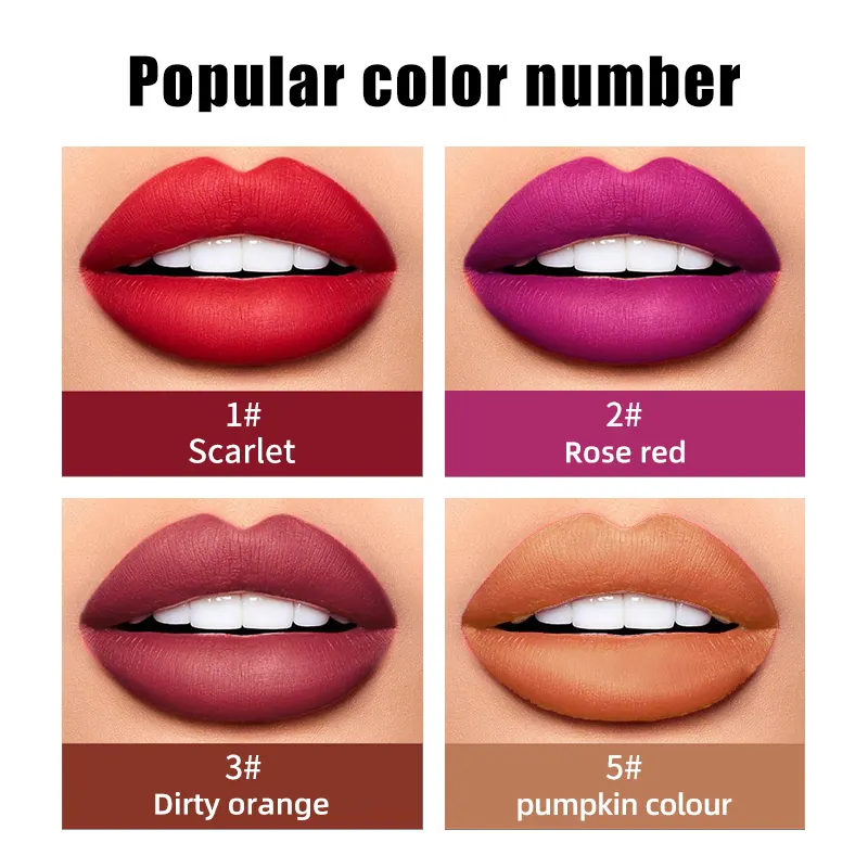 Waterproof Lip Gloss Liquid Lipstick Matte 12 Color Matte Lip Glaze With Cheap Prices