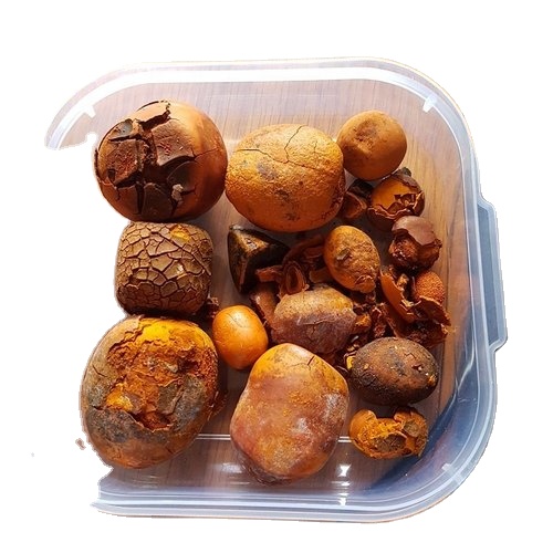 gallstones ox and cow for sale