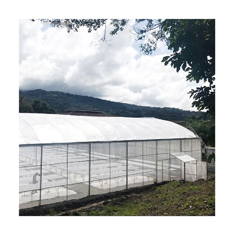 fixed roof window greenhouse agricultural production greenhouse multi-span greenhouse